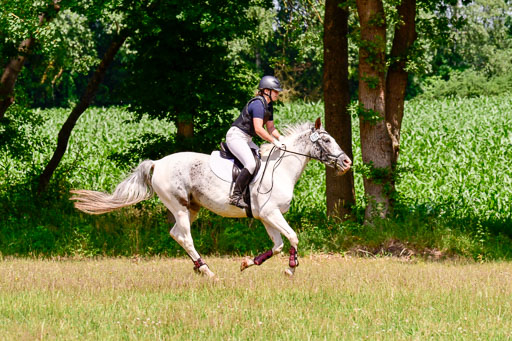 Mechtersen Geläneturnier  27.06.2021 | 270621 Paarklasse  XC _428 