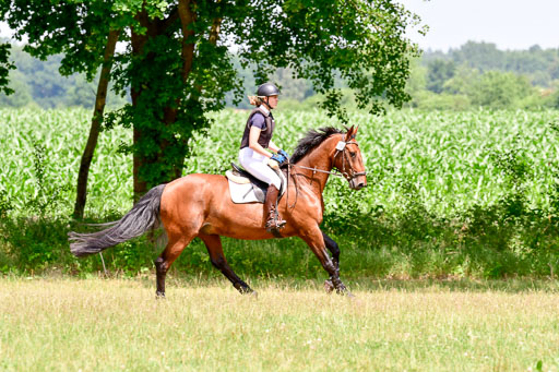 Mechtersen Geläneturnier  27.06.2021 | 270621 Paarklasse  XC _429 