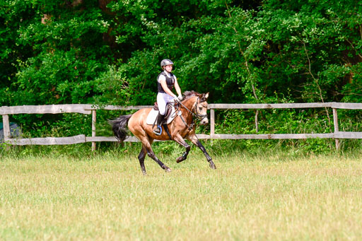 Mechtersen Geläneturnier  27.06.2021 | 270621 Paarklasse  XC _446 