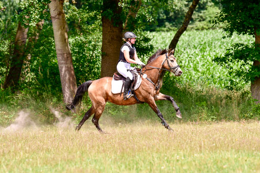 Mechtersen Geläneturnier  27.06.2021 | 270621 Paarklasse  XC _452 