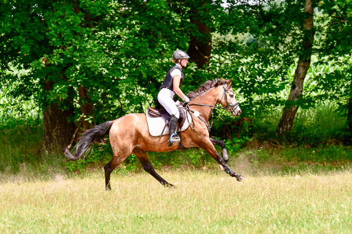 Mechtersen Geläneturnier  27.06.2021 | 270621 Paarklasse  XC _457 