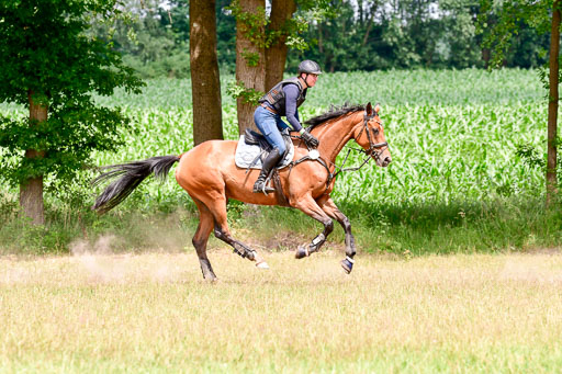 Mechtersen Geläneturnier  27.06.2021 | 270621 Paarklasse  XC _485 