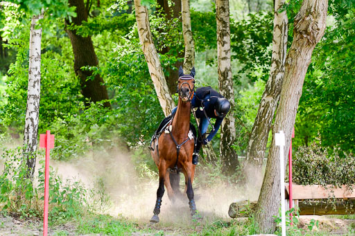 Mechtersen Geläneturnier  27.06.2021 | 270621 Paarklasse  XC _491 