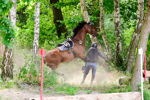 Mechtersen Geläneturnier  27.06.2021 | 270621 Paarklasse  XC _493 