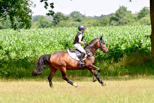 Mechtersen Geläneturnier  27.06.2021 | 270621 Paarklasse  XC _517 