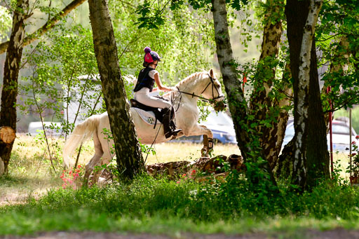 Mechtersen Geläneturnier  27.06.2021 | 270621 Paarklasse  XC _519 