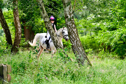 Mechtersen Geläneturnier  27.06.2021 | 270621 Paarklasse  XC _520 