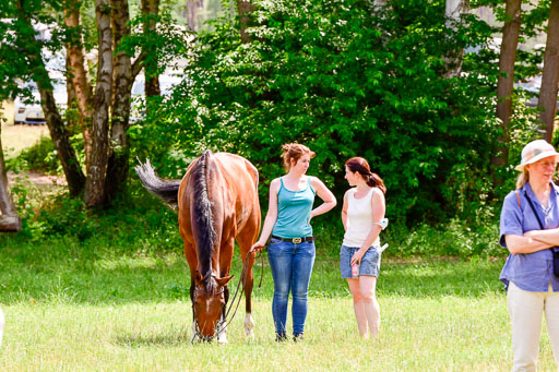 Mechtersen Geläneturnier  27.06.2021 | 270621 Paarklasse  XC _533 