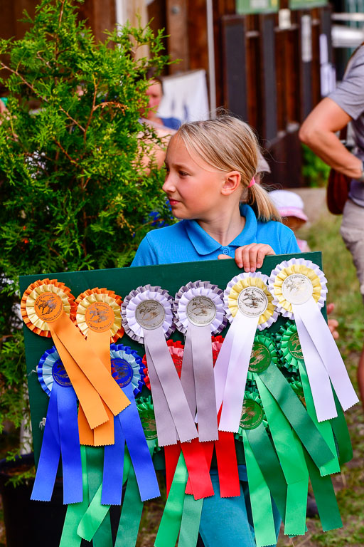 Mechtersen Geläneturnier  27.06.2021 | 270621 Paarklasse  XC _535 