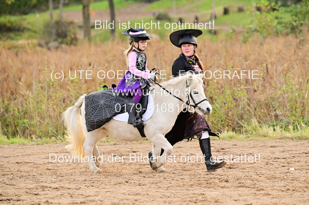  | Führzügel WB _049 