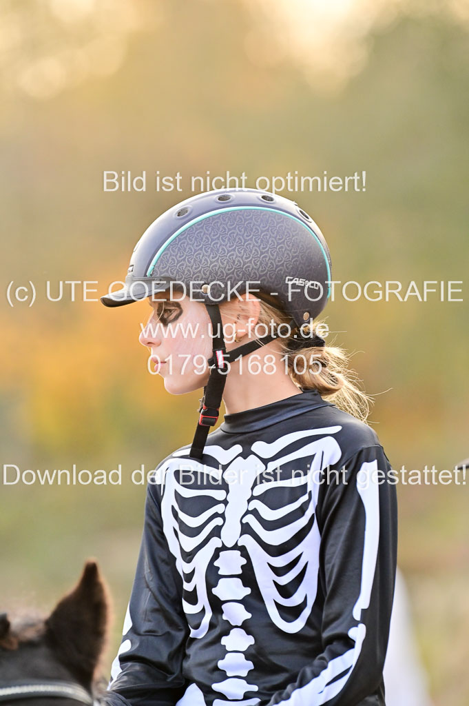  | Führzügel WB _056 