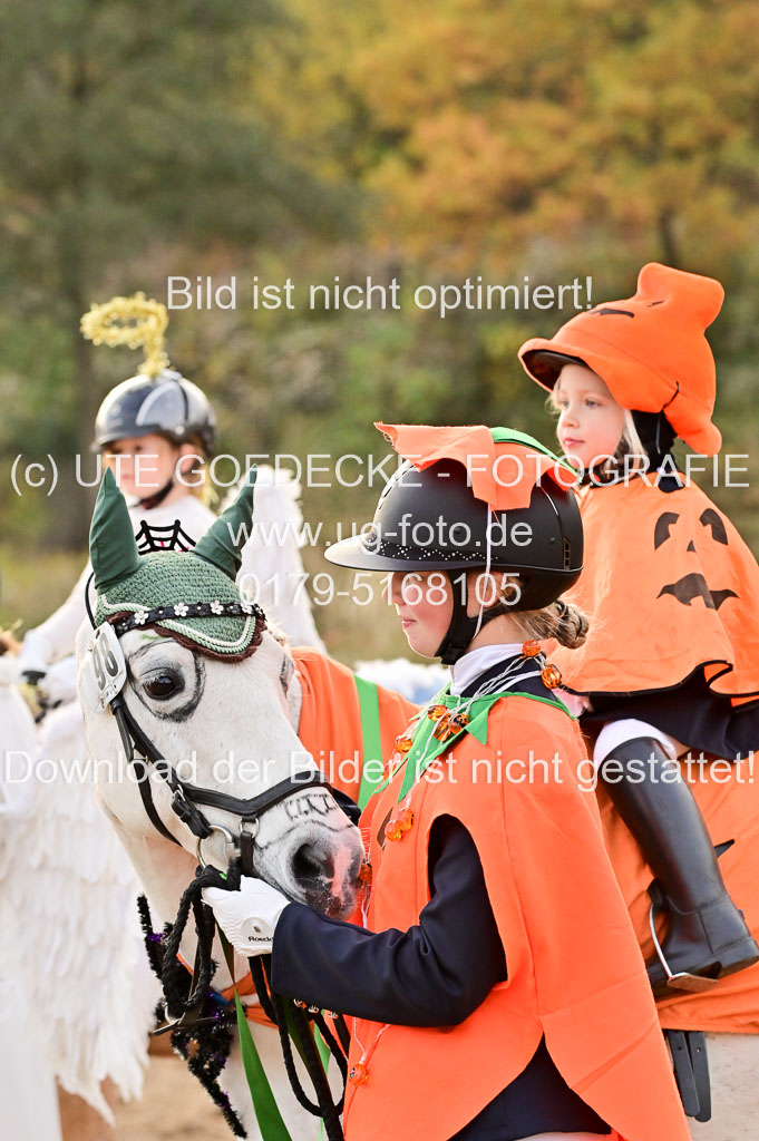  | Führzügel WB _077 