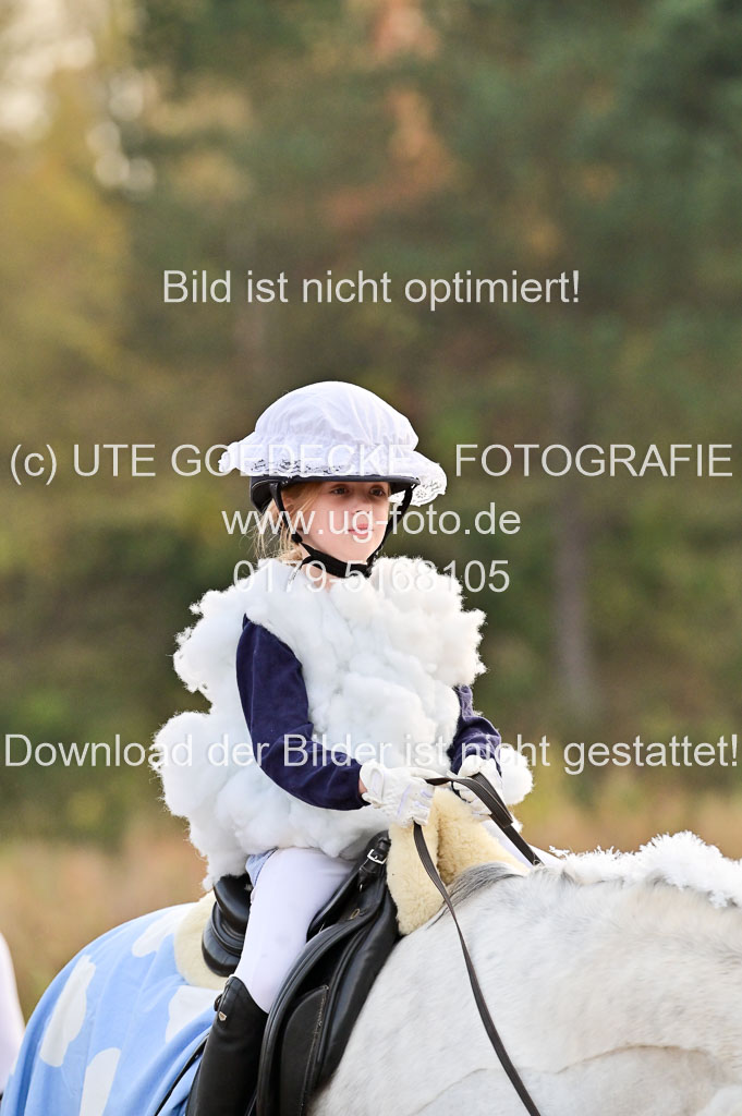 | Führzügel WB _143
