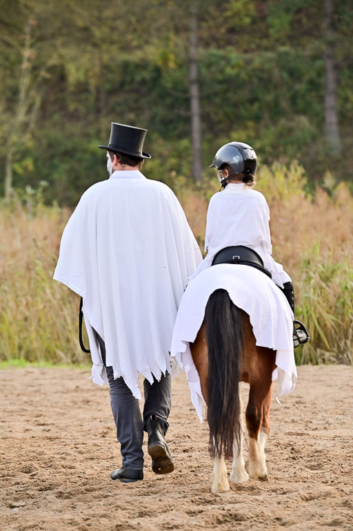  | Führzügel WB _015 