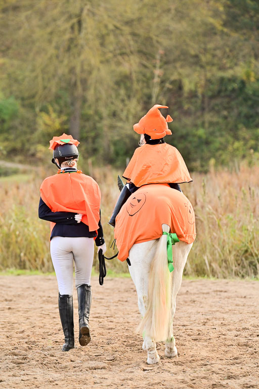  | Führzügel WB _016 