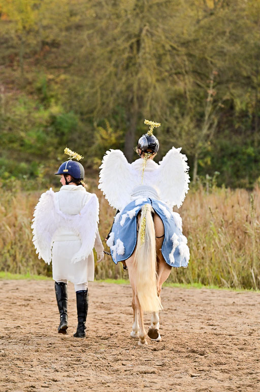  | Führzügel WB _017 