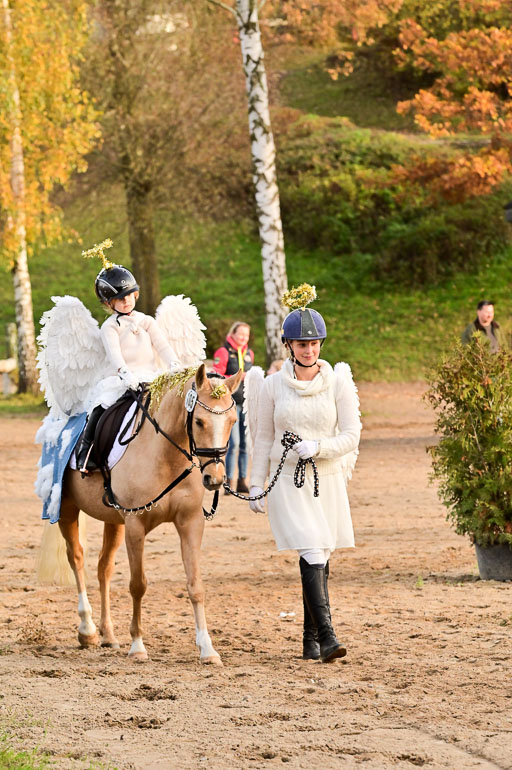  | Führzügel WB _018 