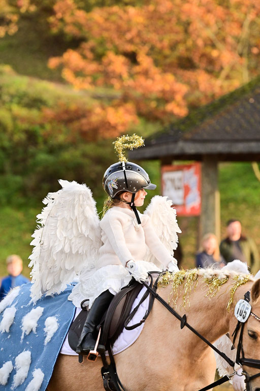  | Führzügel WB _019 