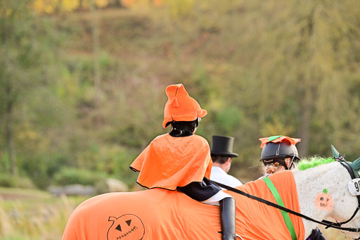  | Führzügel WB _020 