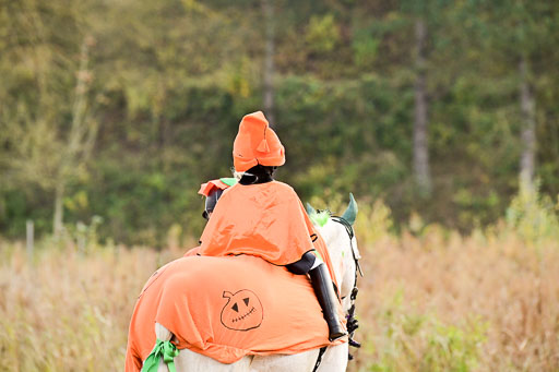  | Führzügel WB _021 