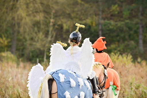  | Führzügel WB _022 