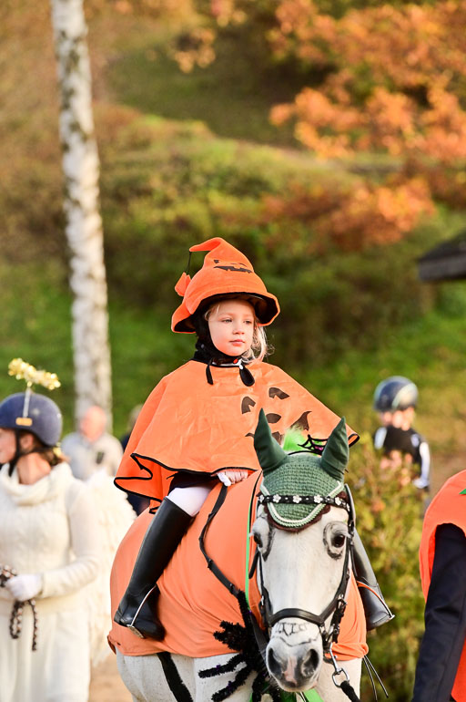  | Führzügel WB _023 