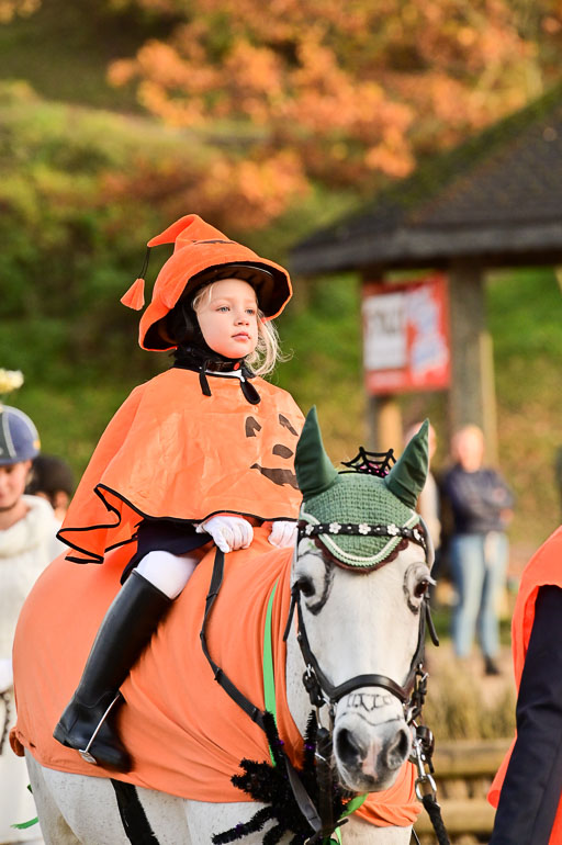  | Führzügel WB _024 