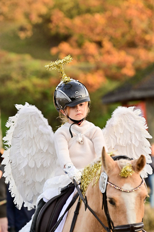  | Führzügel WB _025 