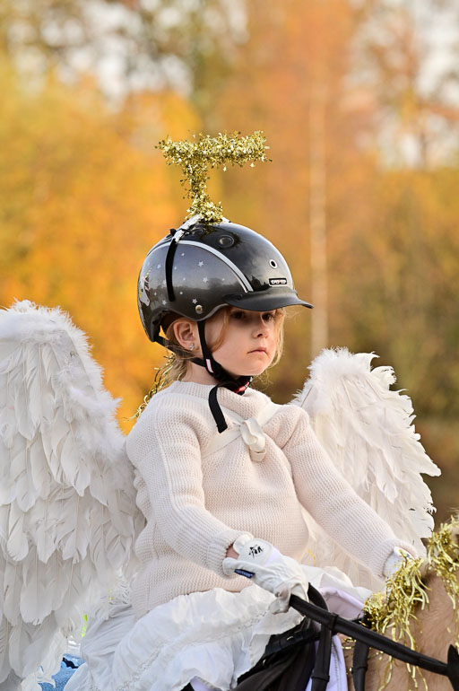  | Führzügel WB _027 