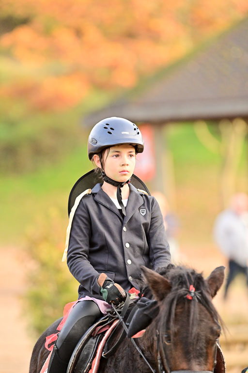  | Führzügel WB _028 