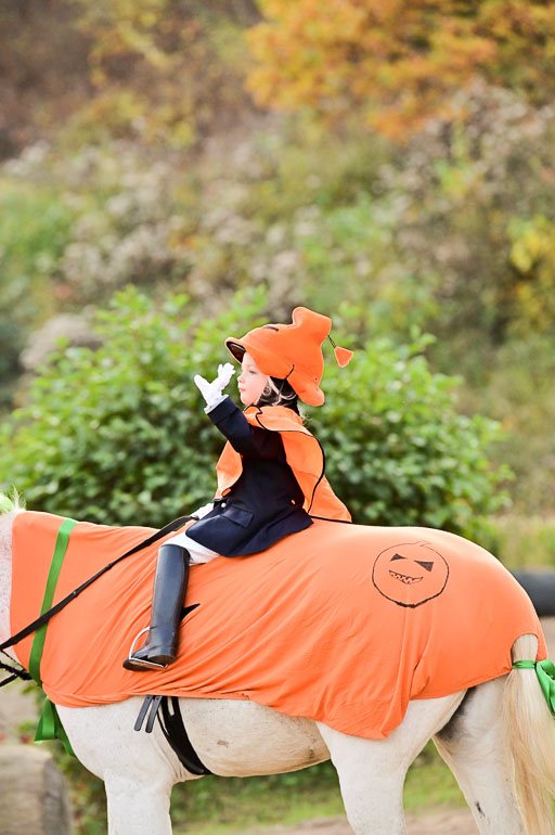  | Führzügel WB _029 