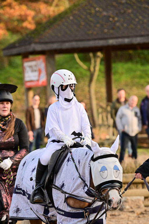  | Führzügel WB _030 