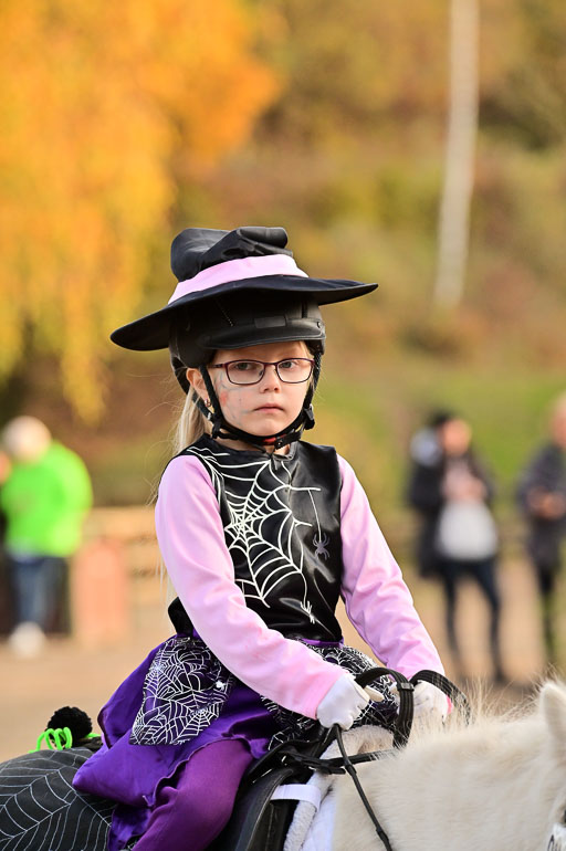  | Führzügel WB _031 