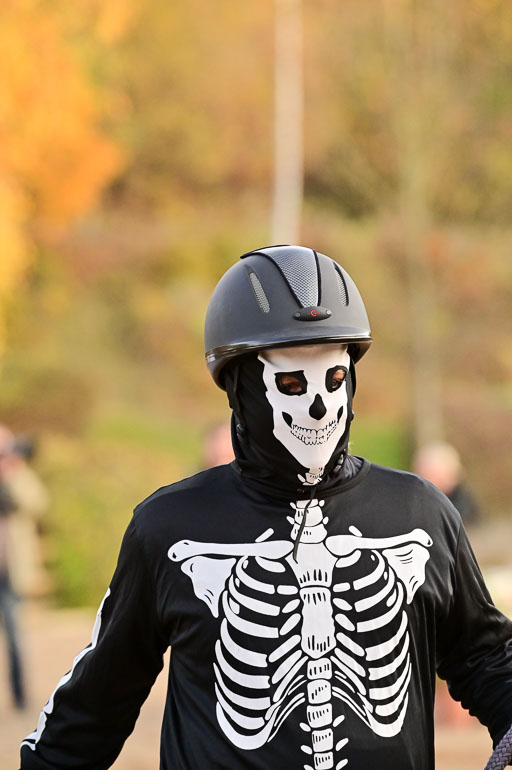  | Führzügel WB _038 