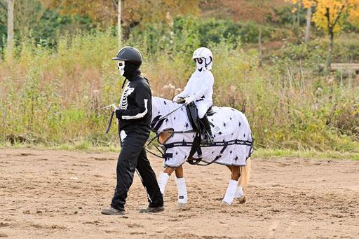  | Führzügel WB _043 