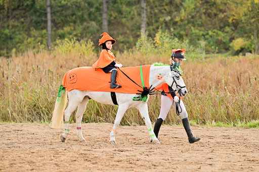  | Führzügel WB _044 