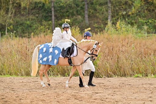  | Führzügel WB _045 