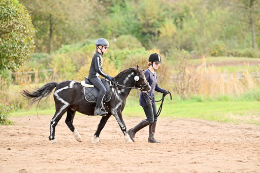  | Führzügel WB _046 