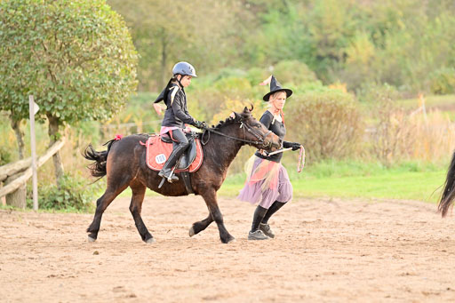  | Führzügel WB _047 