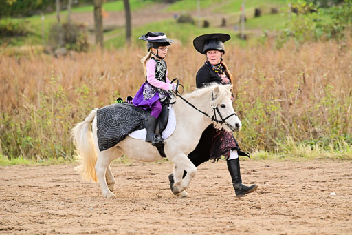  | Führzügel WB _049 