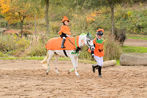  | Führzügel WB _051 