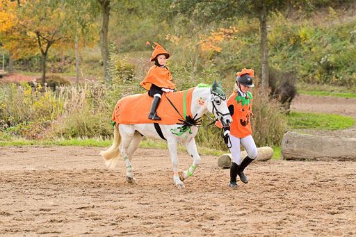  | Führzügel WB _052 