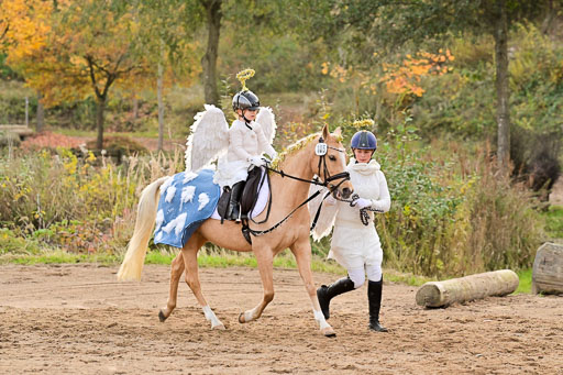  | Führzügel WB _053 