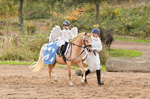  | Führzügel WB _054 