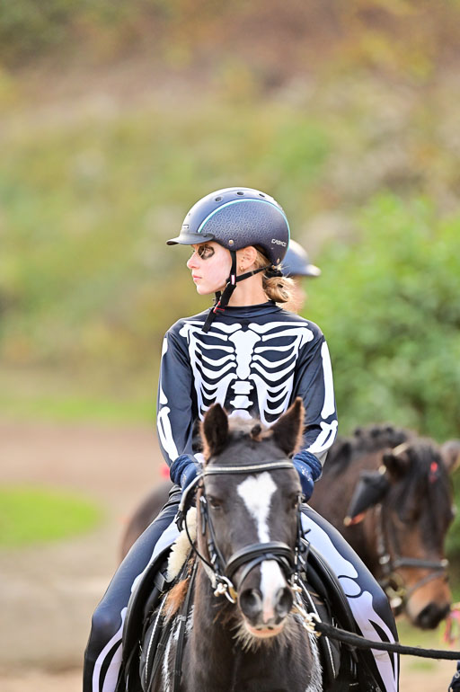  | Führzügel WB _055 