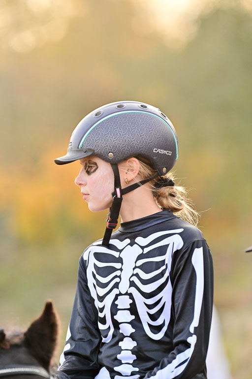  | Führzügel WB _056 