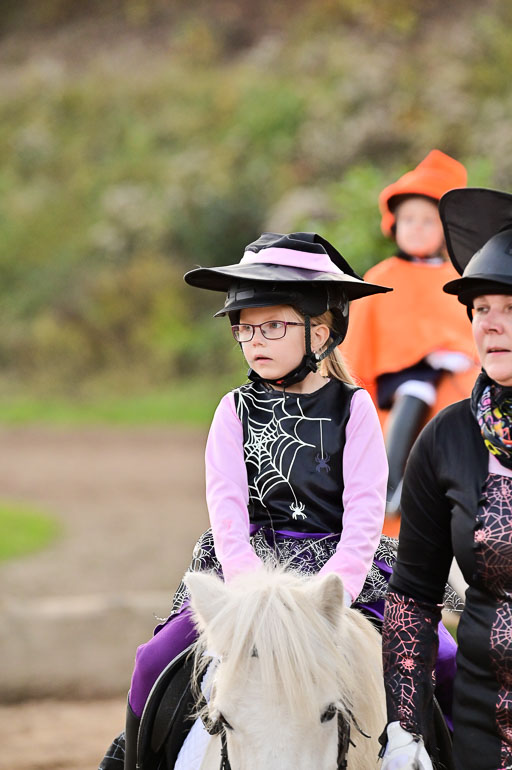  | Führzügel WB _057 