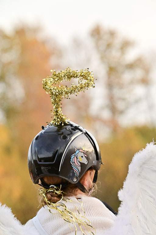  | Führzügel WB _059 