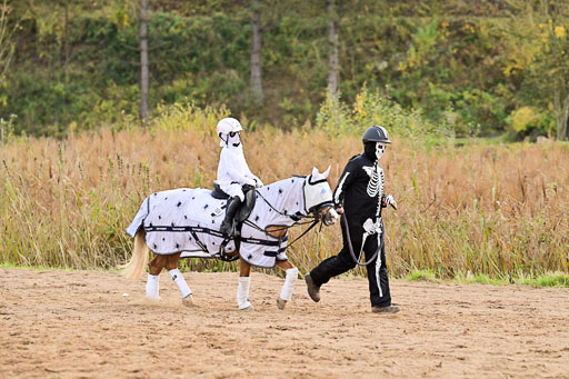  | Führzügel WB _061 