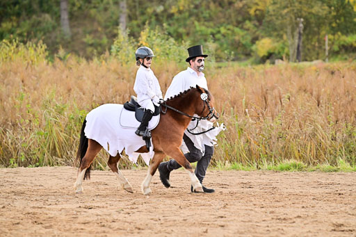  | Führzügel WB _064 